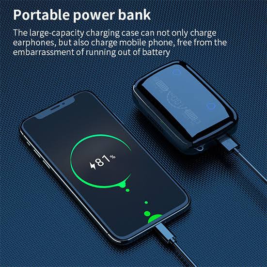 M19 Earbuds